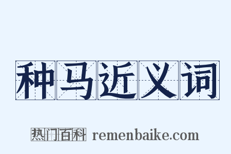 种马近义词是什么意思的图片